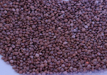 Pile of Black lentils.