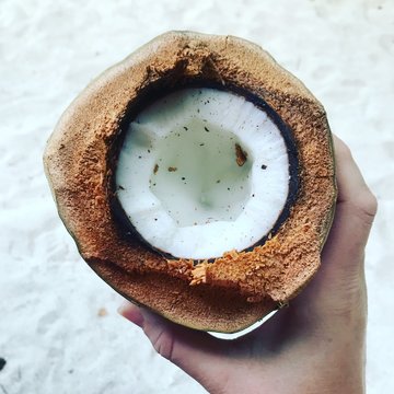 Malediven Kokusnuss