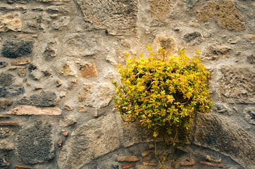 old stone wall texture.
