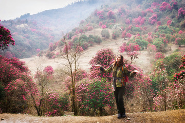 A happy tourist girl stands in the rain and looks at the sky against the background of a blooming rhododendron forest. Fantastic picturesque view of pink rhododendron trees, the Himalayas, Nepal. - obrazy, fototapety, plakaty