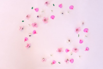 Floral design of apricot and nectarine flowers on white background