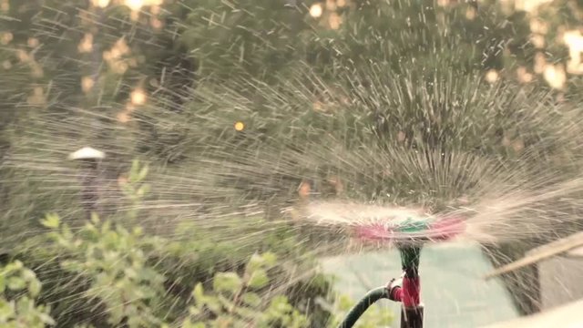 Close up water sprinkler spray watering.