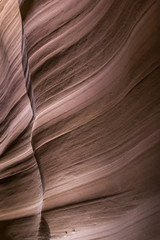 Antelope's amazing walls 4