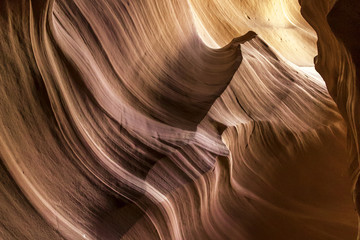 Obraz premium Antelope's amazing walls