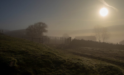 Dawn fog on a Saddleworth farm