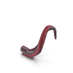 Octopus Tentacle on white. 3D illustration - 200242827