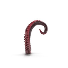 Octopus Tentacle on white. 3D illustration - 200242852