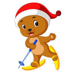 bear playing skiing