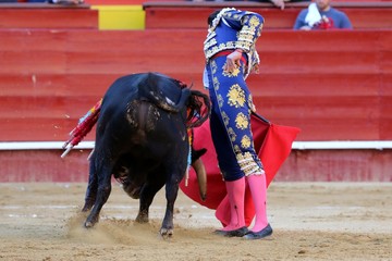 bull in spanish
