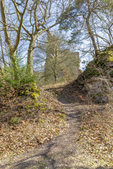 Fototapeta na wymiar Altenbaumburg Castle is the ruin of a spur castle on a ridge above Altenbamberg in Alsenz Valley in Rhineland-Palatinate, Germany
