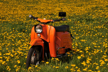 Moped Schwalbe