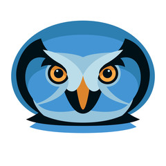 owl  head  face vector illustration flat style front