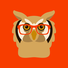 owl in glasses face vector illustration flat