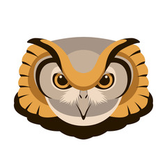 owl  head  face vector illustration flat style front