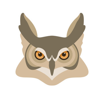 owl  head  face vector illustration flat style front