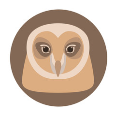 owl  head  face vector illustration flat style front