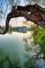 spring of slender west lake in Yangzhou China
