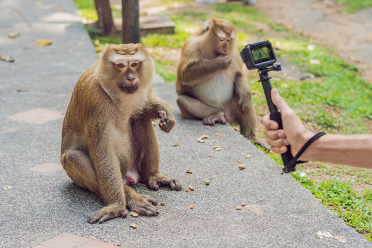 A man takes a picture of a monkey on an action camera