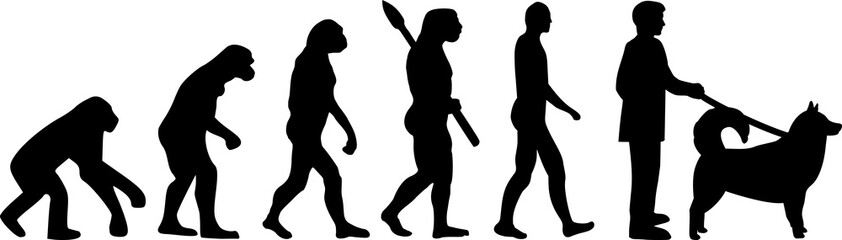 Obraz premium Alaskan malamute evolution