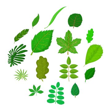 Green leafs icons set, cartoon style