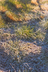 Frosted grass - morning wiev - Sunrise