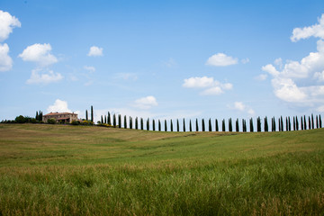 View of Green hills in Tuscany, Italy.