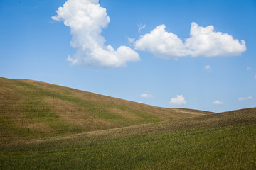 Fototapeta na wymiar View of Green hills in Tuscany, Italy.