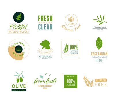 organic natural label and element with green color. leaf logo design.