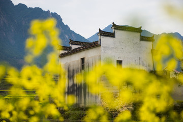 the spring village of south of Anhui province in China