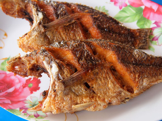Fried fish on plate