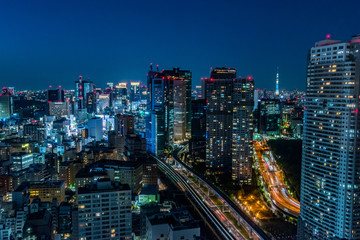 Obraz na płótnie Canvas 東京の夜景