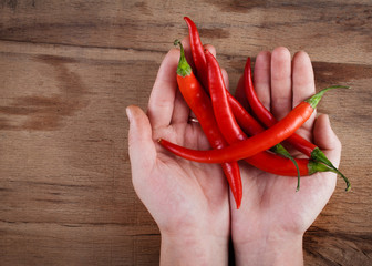Chilli pepper in hand close up