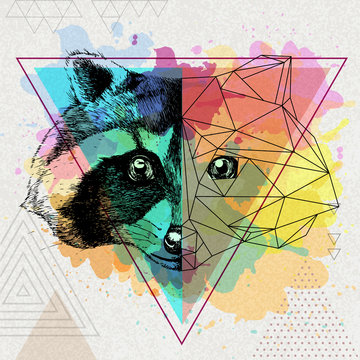 Hipster animal realistic and polygonal raccoon on artistic watercolor background
