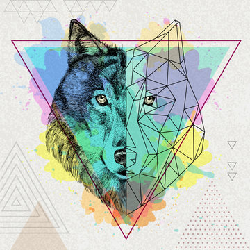 Hipster animal realistic and polygonal wolf on artistic watercolor background