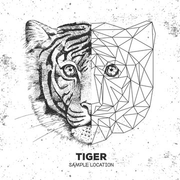 Hipster animal realistic and polygonal tiger face. Triangle animal
