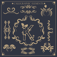 set of calligraphic design elements and page decorations
