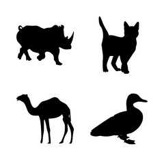 icon Animal with walking, rihino, camel, duck and large