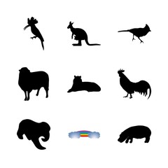icon Animal with kangaroo, graphic, animals, rooster and savanna