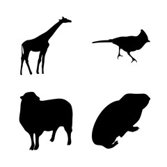 icon Animal with cartoon, mouse, art, pictogram and bird
