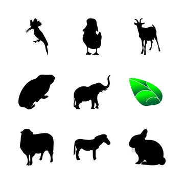 icon Animal with bird, lamb, sketch, hamster and zoology