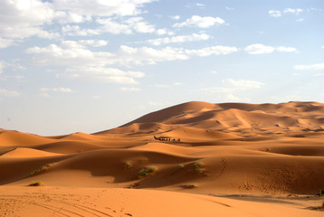 Fototapeta na wymiar Dunas en el desieto del Sahara, al atardecer.
