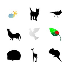 icon Animal with desing, fly, sun, love and pet