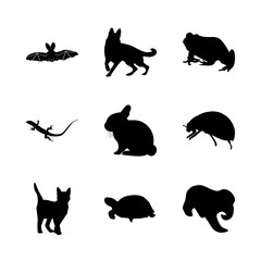 icon Animal with dracula, casper, pose, bug and ocean