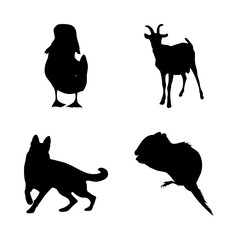 icon Animal with black, autumn, bird, shape and nature