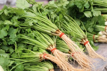 coriander at the market