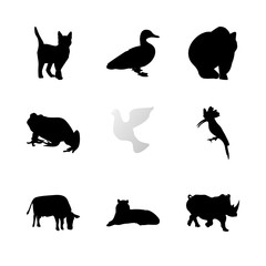 icon Animal with dove, duck, element, pattern and bear