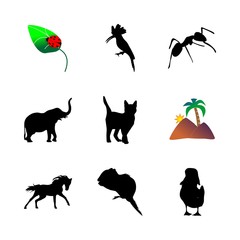 icon Animal with farm, squirrrel, elephant, commensal and simple