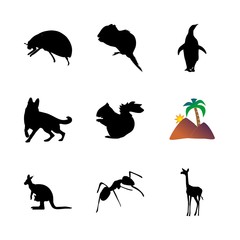 icon Animal with forest, squirrel, secury, cartoon and commensal