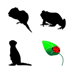 icon Animal with ladybug, squirrrel, frog, flower and wallpaper