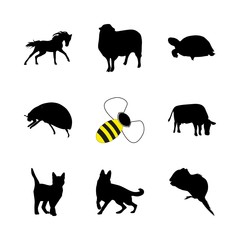icon Animal with dog, small, pupy, macro and racing